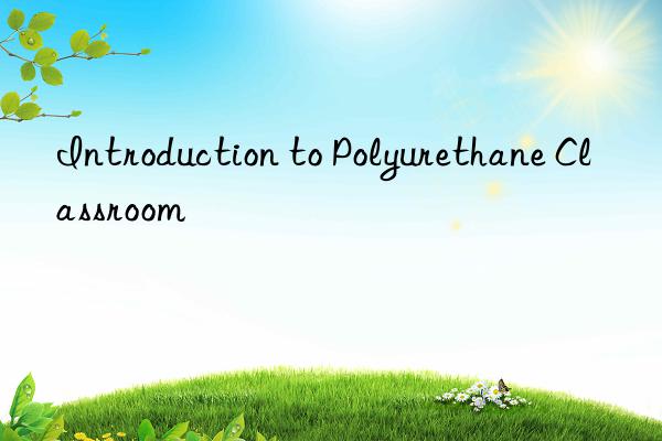 Introduction to Polyurethane Classroom