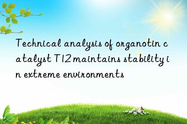 Technical analysis of organotin catalyst T12 maintains stability in extreme environments