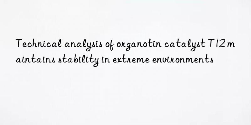 Technical analysis of organotin catalyst T12 maintains stability in extreme environments