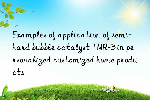 Examples of application of semi-hard bubble catalyst TMR-3 in personalized customized home products