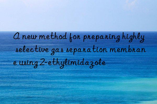 A new method for preparing highly selective gas separation membrane using 2-ethylimidazole