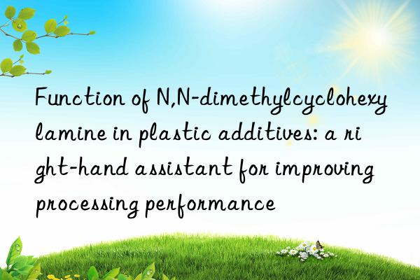 Function of N,N-dimethylcyclohexylamine in plastic additives: a right-hand assistant for improving processing performance