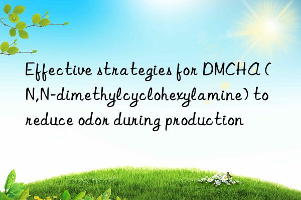 Effective strategies for DMCHA (N,N-dimethylcyclohexylamine) to reduce odor during production