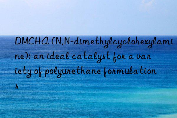 DMCHA (N,N-dimethylcyclohexylamine): an ideal catalyst for a variety of polyurethane formulations