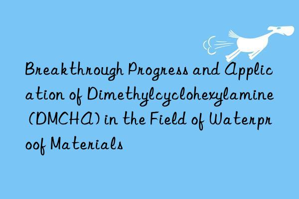 Breakthrough Progress and Application of Dimethylcyclohexylamine (DMCHA) in the Field of Waterproof Materials