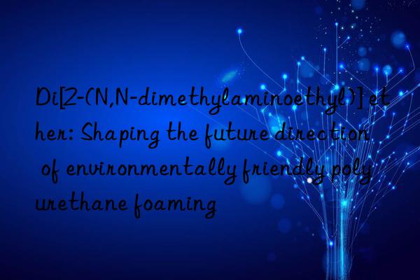 Di[2-(N,N-dimethylaminoethyl)] ether: Shaping the future direction of environmentally friendly polyurethane foaming