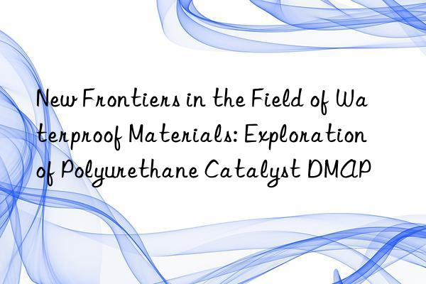 New Frontiers in the Field of Waterproof Materials: Exploration of Polyurethane Catalyst DMAP