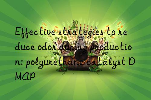 Effective strategies to reduce odor during production: polyurethane catalyst DMAP