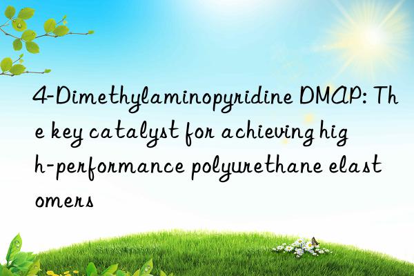 4-Dimethylaminopyridine DMAP: The key catalyst for achieving high-performance polyurethane elastomers