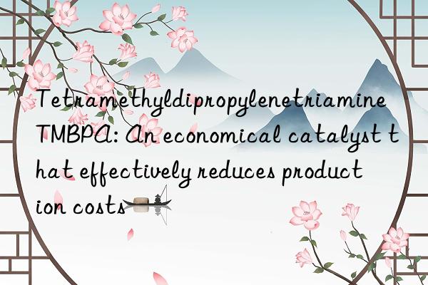 Tetramethyldipropylenetriamine TMBPA: An economical catalyst that effectively reduces production costs