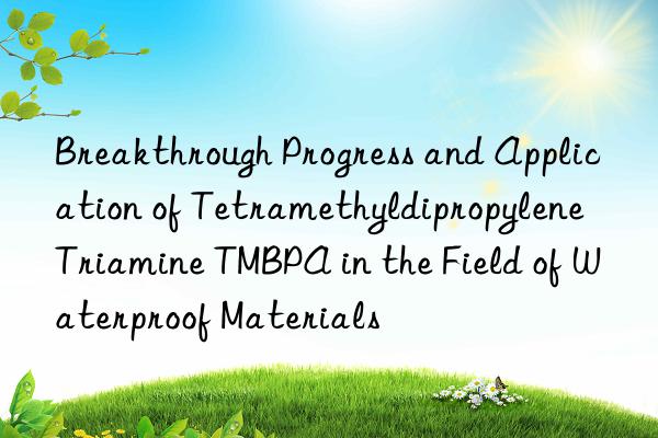 Breakthrough Progress and Application of Tetramethyldipropylene Triamine TMBPA in the Field of Waterproof Materials