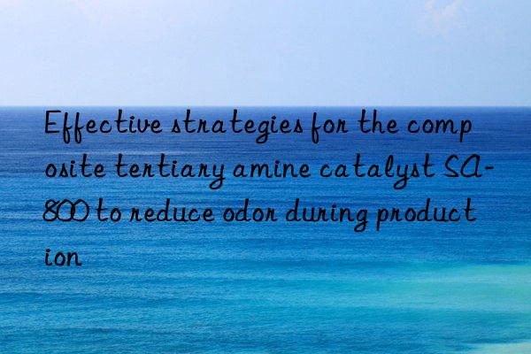 Effective strategies for the composite tertiary amine catalyst SA-800 to reduce odor during production