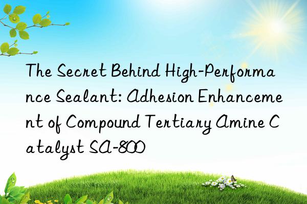 The Secret Behind High-Performance Sealant: Adhesion Enhancement of Compound Tertiary Amine Catalyst SA-800