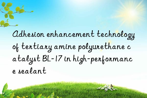 Adhesion enhancement technology of tertiary amine polyurethane catalyst BL-17 in high-performance sealant