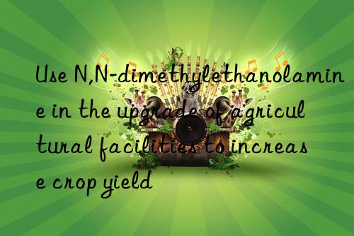 Use N,N-dimethylethanolamine in the upgrade of agricultural facilities to increase crop yield