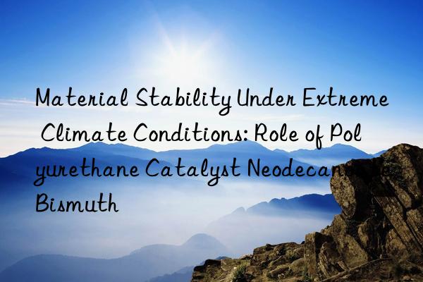 Material Stability Under Extreme Climate Conditions: Role of Polyurethane Catalyst Neodecanoate Bismuth