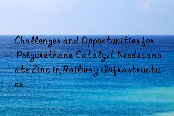 Challenges and Opportunities for Polyurethane Catalyst Neodecanoate Zinc in Railway Infrastructure