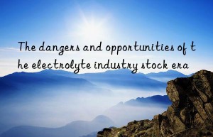 The dangers and opportunities of the electrolyte industry stock era