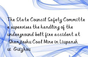 The State Council Safety Committee supervises the handling of the underground belt fire accident at Shanjioshu Coal Mine in Liupanshui  Guizhou