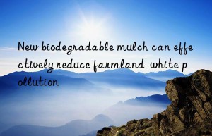 New biodegradable mulch can effectively reduce farmland  white pollution