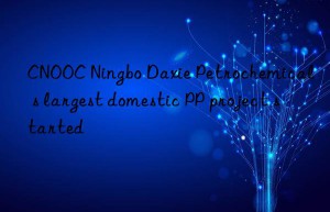 CNOOC Ningbo Daxie Petrochemical s largest domestic PP project started