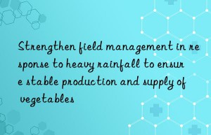 Strengthen field management in response to heavy rainfall to ensure stable production and supply of vegetables