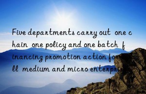 Five departments carry out  one chain  one policy and one batch  financing promotion action for small  medium and micro enterprises