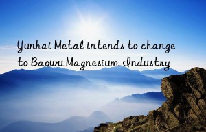 Yunhai Metal intends to change to Baowu Magnesium Industry