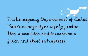 The Emergency Department of Anhui Province organizes safety production supervision and inspection of iron and steel enterprises