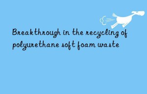 Breakthrough in the recycling of polyurethane soft foam waste