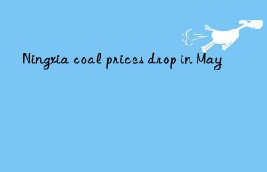 Ningxia coal prices drop in May