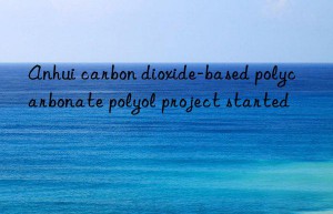 Anhui carbon dioxide-based polycarbonate polyol project started