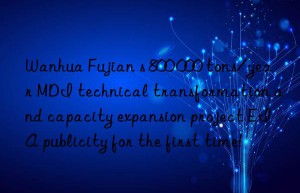 Wanhua Fujian s 800 000 tons/year MDI technical transformation and capacity expansion project EIA publicity for the first time!