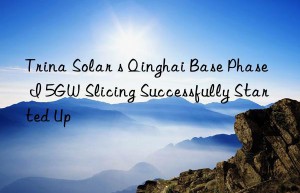 Trina Solar s Qinghai Base Phase I 5GW Slicing Successfully Started Up