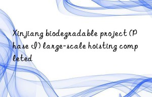 Xinjiang biodegradable project (Phase I) large-scale hoisting completed