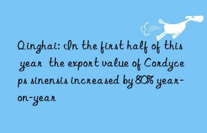 Qinghai: In the first half of this year  the export value of Cordyceps sinensis increased by 80% year-on-year