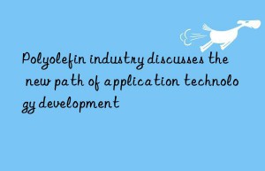 Polyolefin industry discusses the new path of application technology development