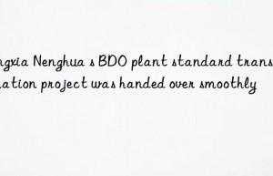 Ningxia Nenghua s BDO plant standard transformation project was handed over smoothly