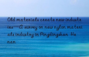 Old materials create new industries—A survey on new nylon materials industry in Pingdingshan  Henan