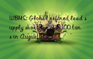 WBMS: Global refined lead supply shortage of 6 100 tons in August 2023