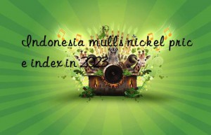 Indonesia mulls nickel price index in 2023