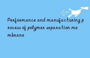 Performance and manufacturing process of polymer separation membrane