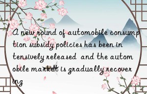 A new round of automobile consumption subsidy policies has been intensively released  and the automobile market is gradually recovering