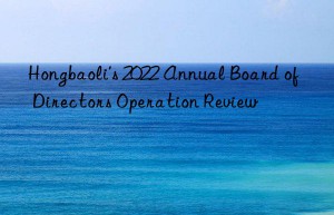 Hongbaoli’s 2022 Annual Board of Directors Operation Review