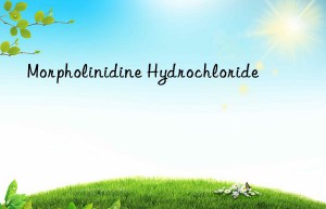 Morpholinidine Hydrochloride