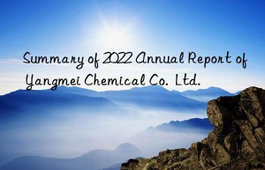 Summary of 2022 Annual Report of Yangmei Chemical Co.  Ltd.