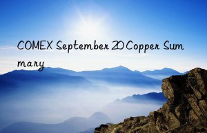 COMEX September 20 Copper Summary