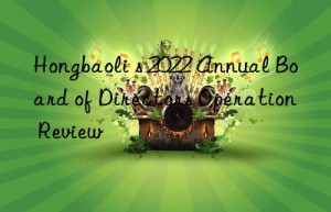 Hongbaoli s 2022 Annual Board of Directors Operation Review