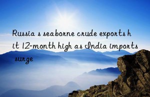 Russia s seaborne crude exports hit 12-month high as India imports surge