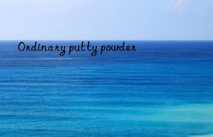 Ordinary putty powder